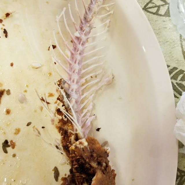 Fish