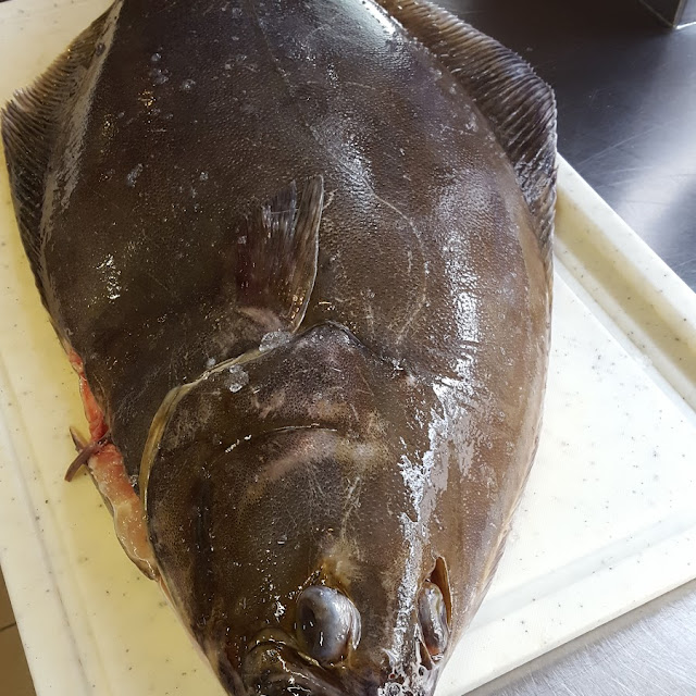 Olive Flounder
