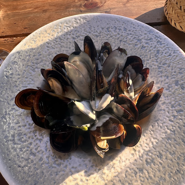 Miesmuscheln In Weisswein-estragon Sauce