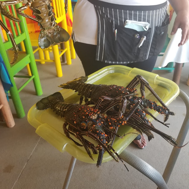 Lobster