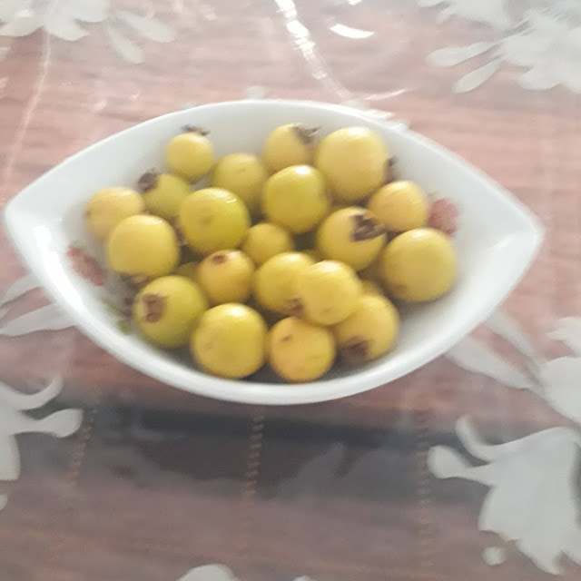 Araçá