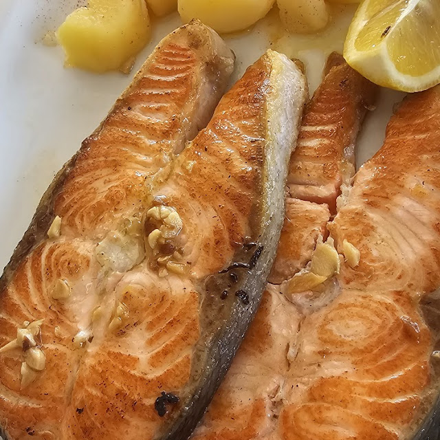 Salmon