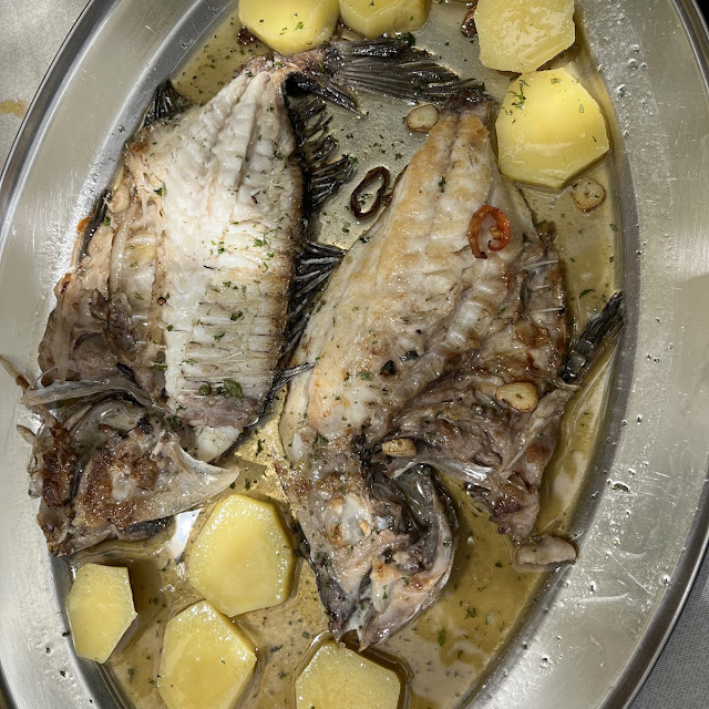 Rodaballo