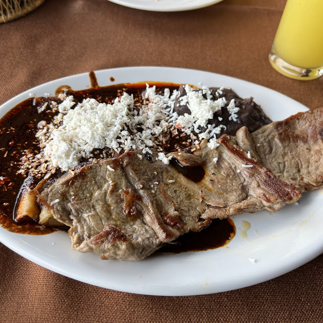 Enchiladas de Mole Con Carne Asada