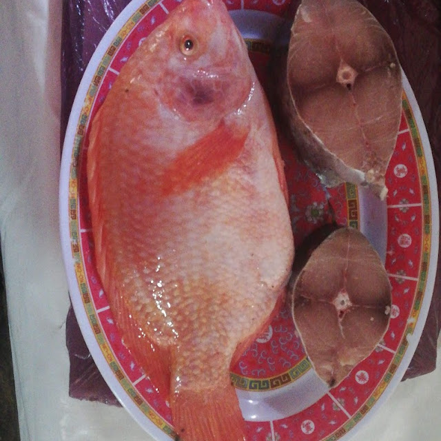 Mojarra Y Sierra