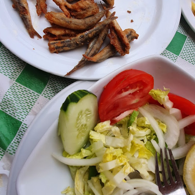 Fish and Salad