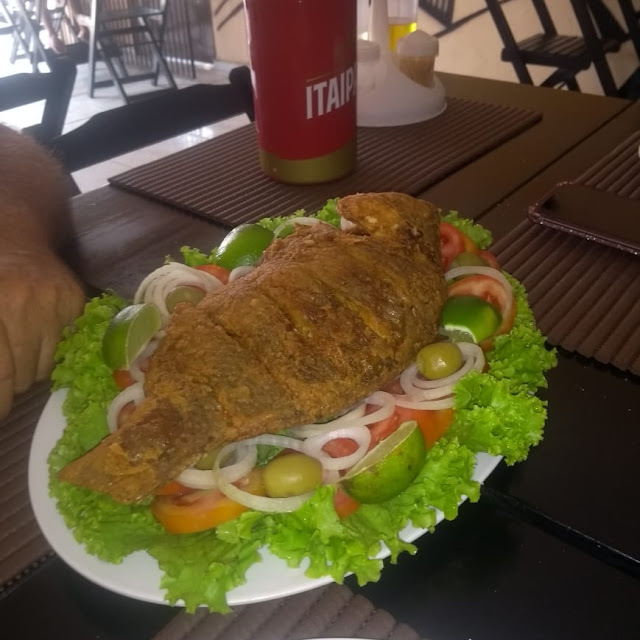Tilápia