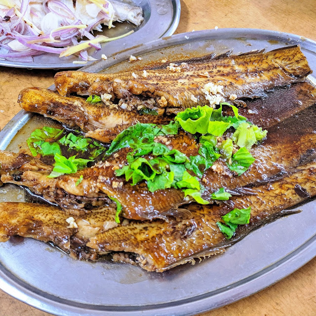 龍舌魚