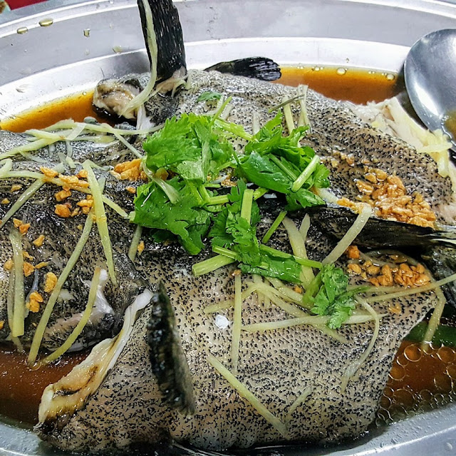 Steam Dragon Tiger Grouper