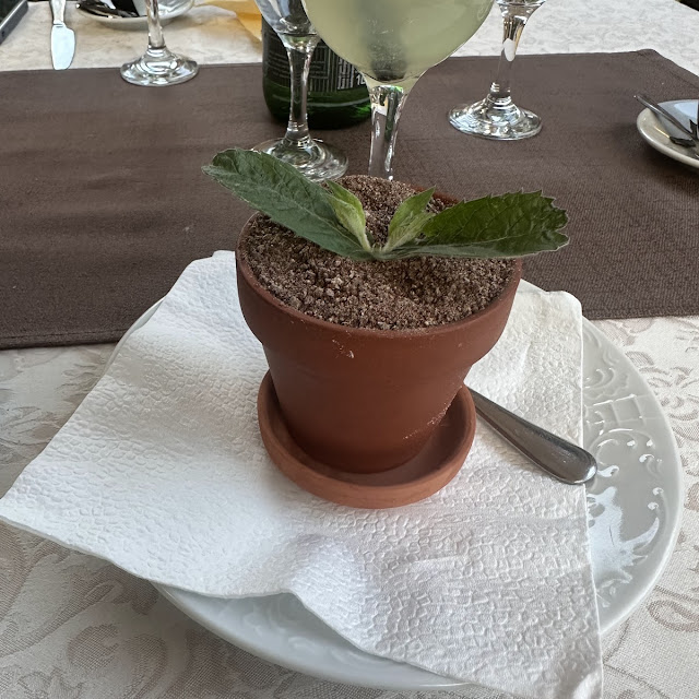Vrbica