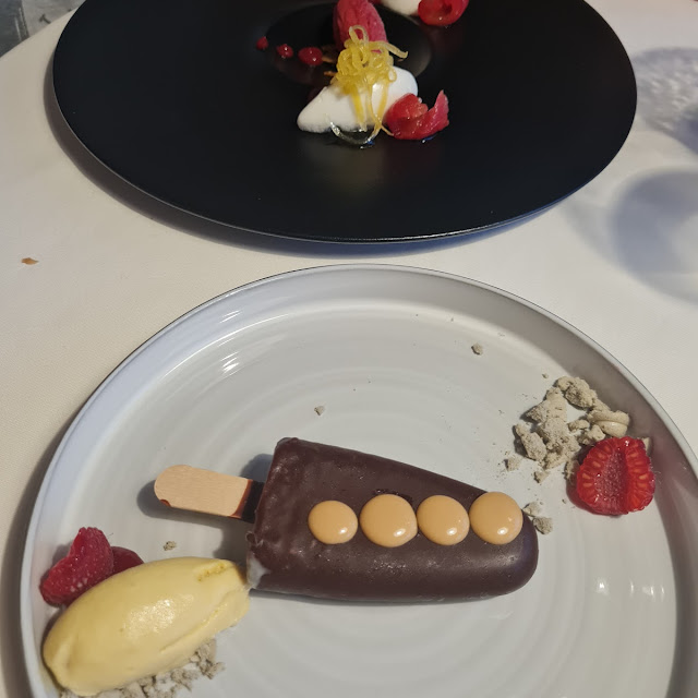 Ice Cream with Chocolate Mousse Inside Sorbet and Panna Cotta with Raspberry
