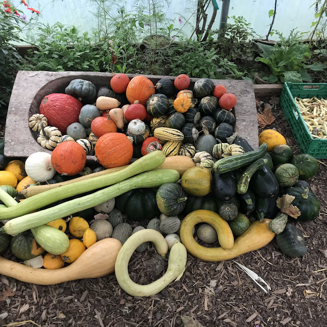 Vegetable