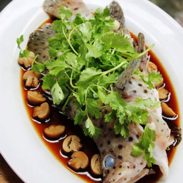 Ikan Steam