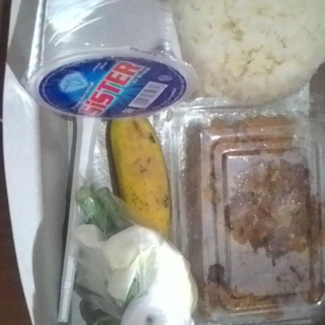 Menerima Pesanan Nasi Kotak