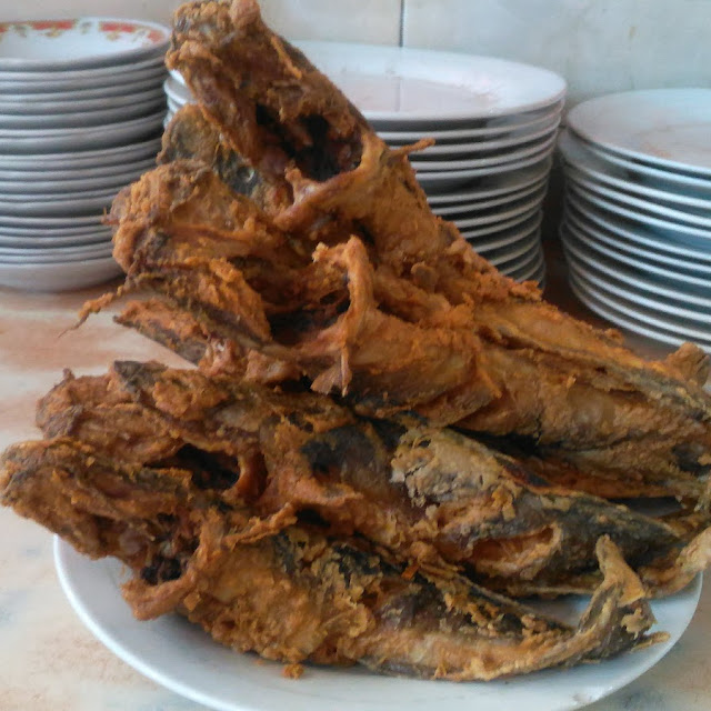 Lele Goreng