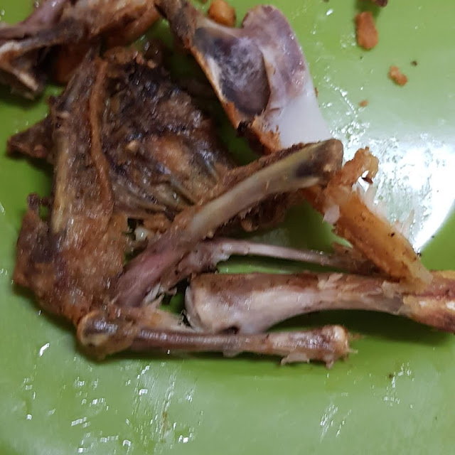 Sisa Makanan
