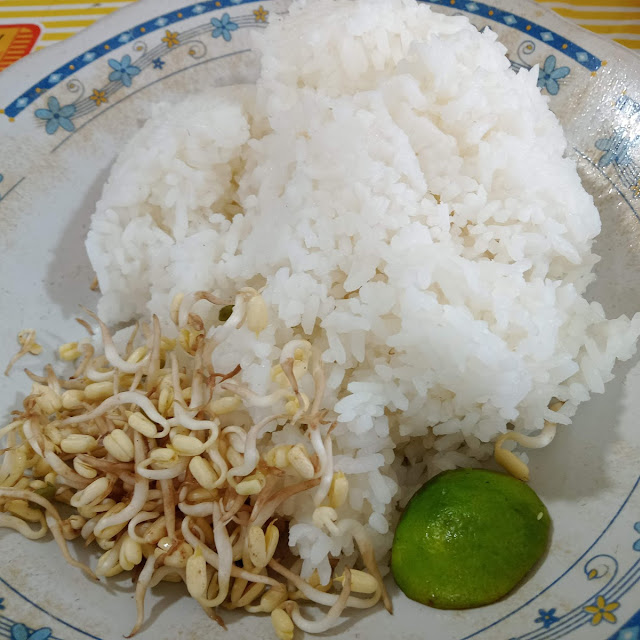 Nasi Putih