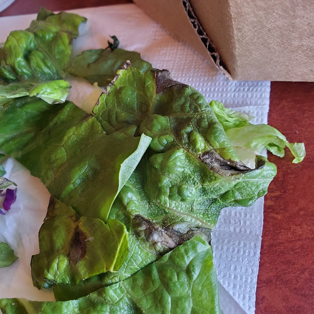 Lettuce