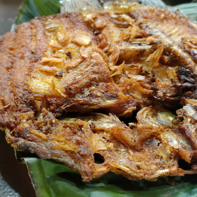 Gurame Goreng