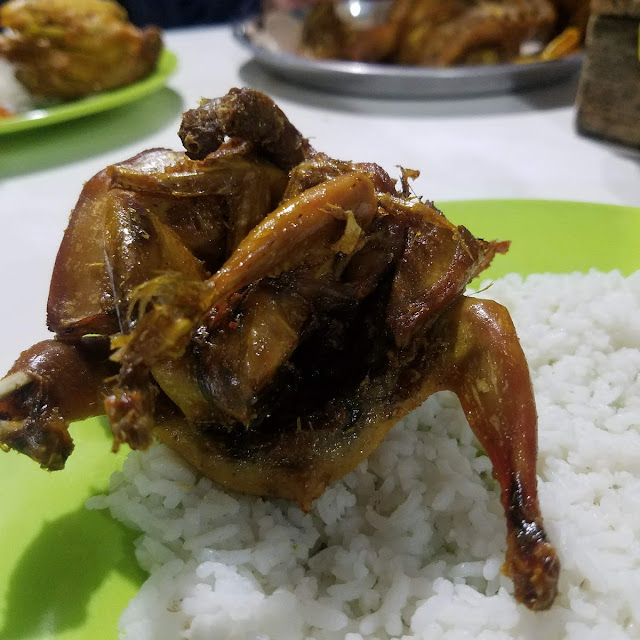 Burung Dara Goreng