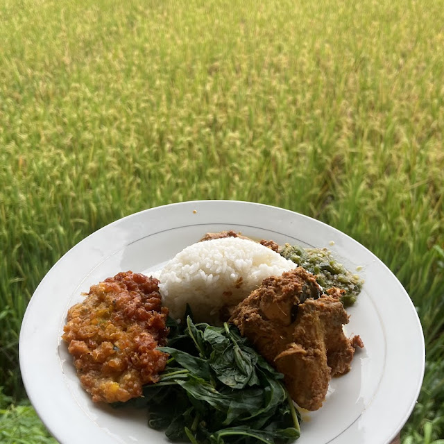 Nasi Ayam Rendang