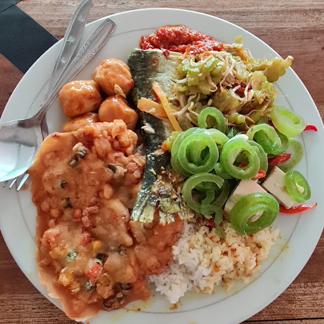 Nasi Ikan Patin
