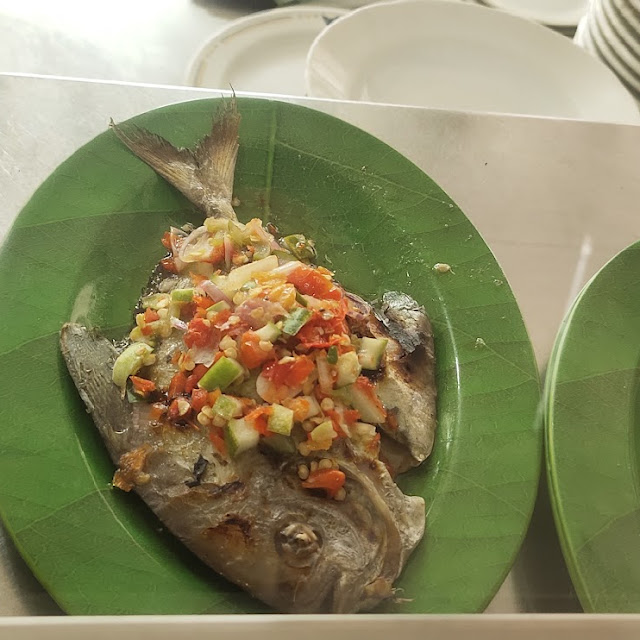 Fish