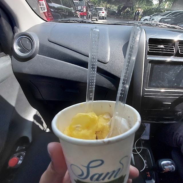 Mango and Tiramisu Gelato
