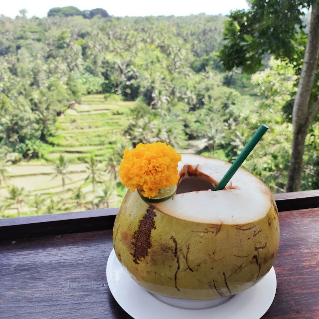 Whole Coconut Coconut Water
