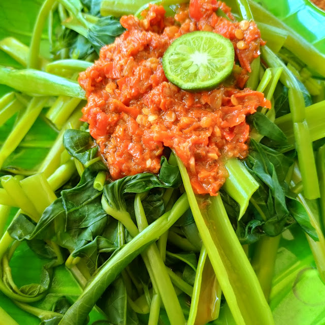 Plecing Kangkung