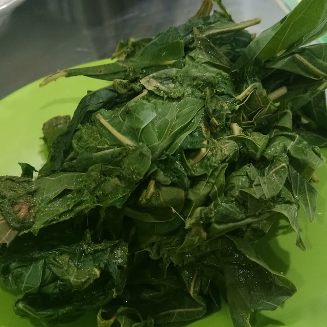 Daun Singkong