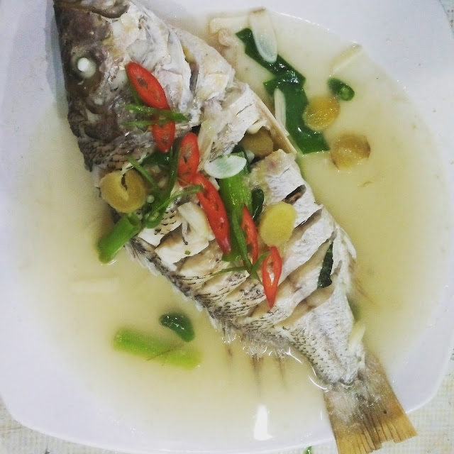 Ikan Kakap Tim