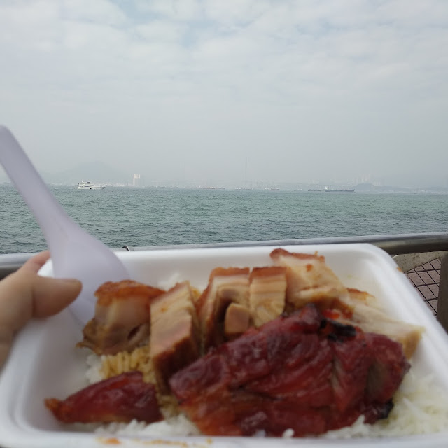 Crispy Suckling Pig Rice