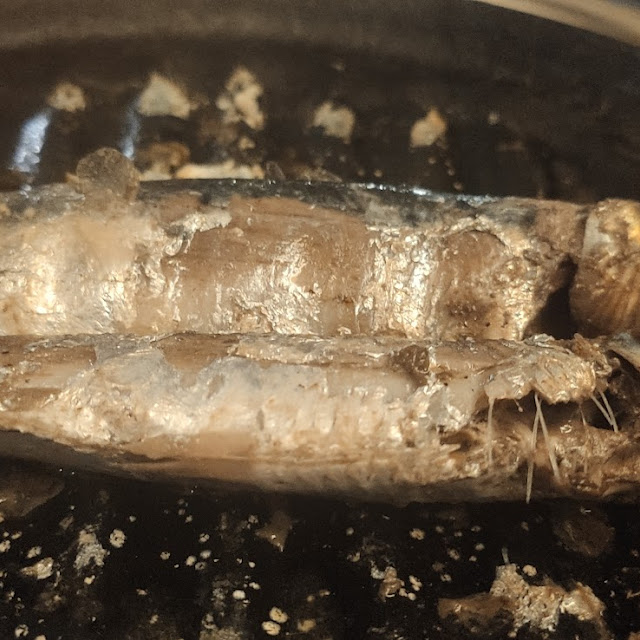 Sardines Grillées
