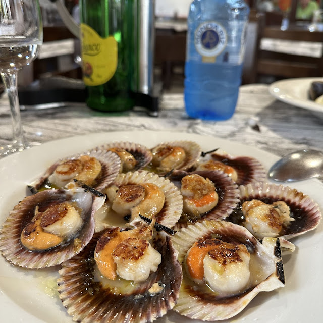 Tipo Mini Vieiras