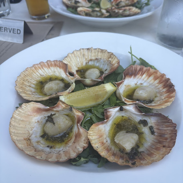 Ocean Scallops