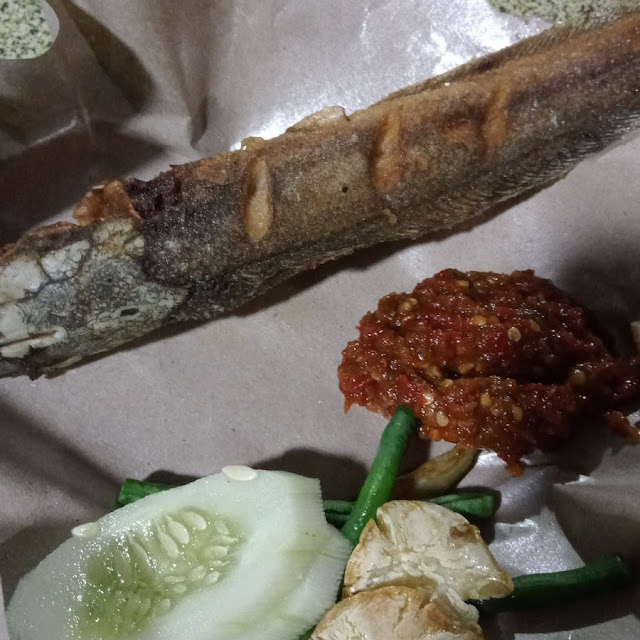 Lele Goreng Nasi