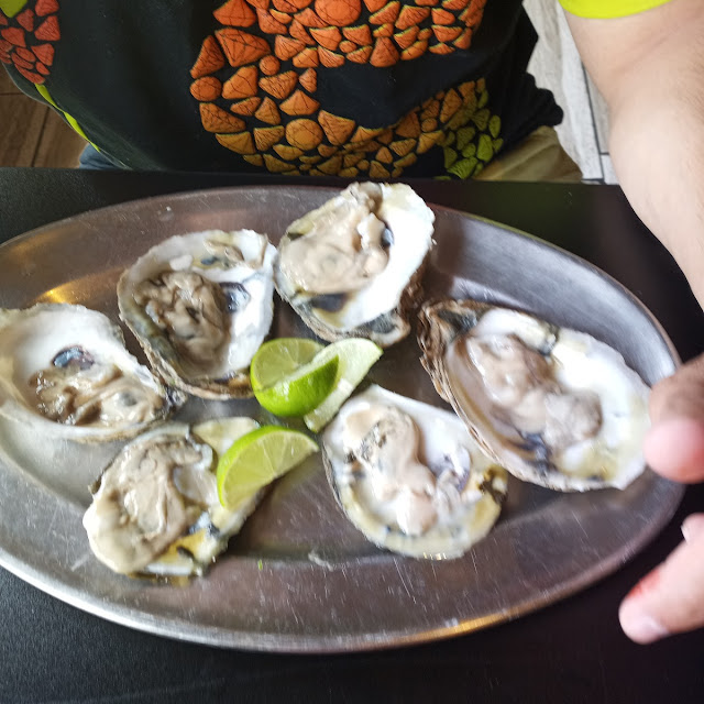 Oysters
