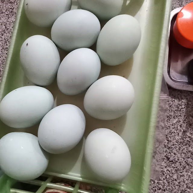 Telur Asin