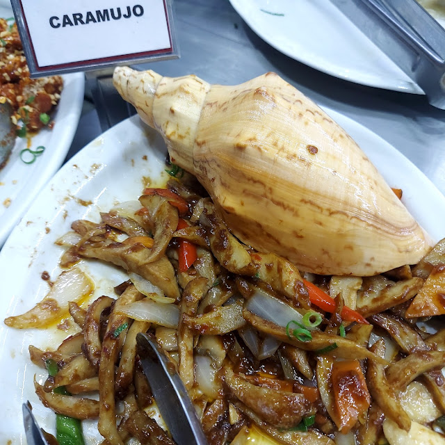 Caramujo