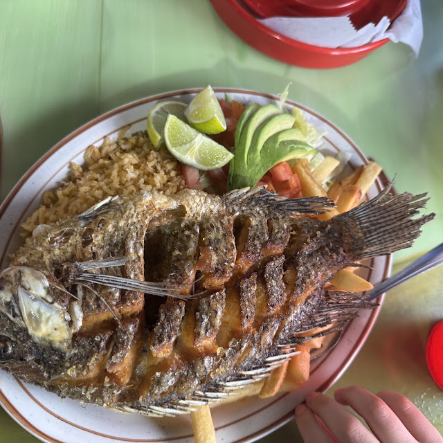 Tilapia