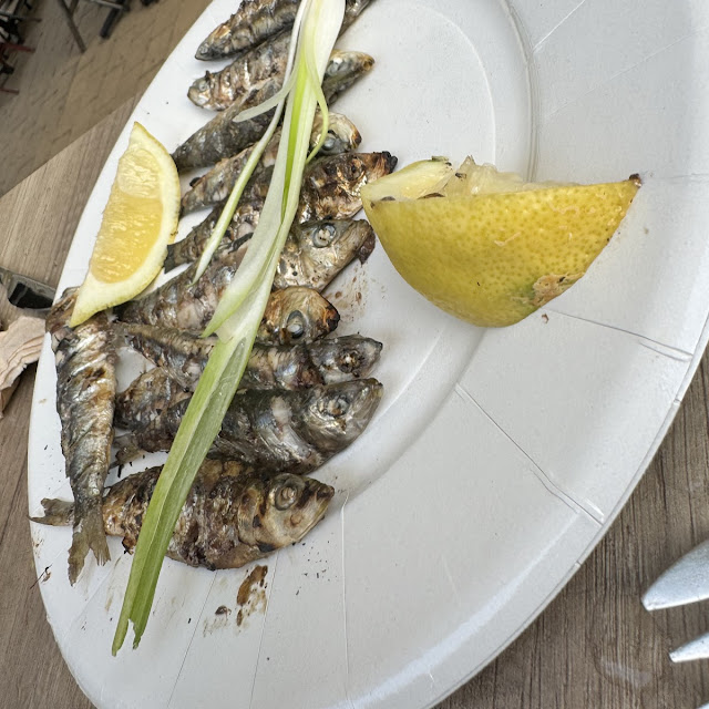 Sardine