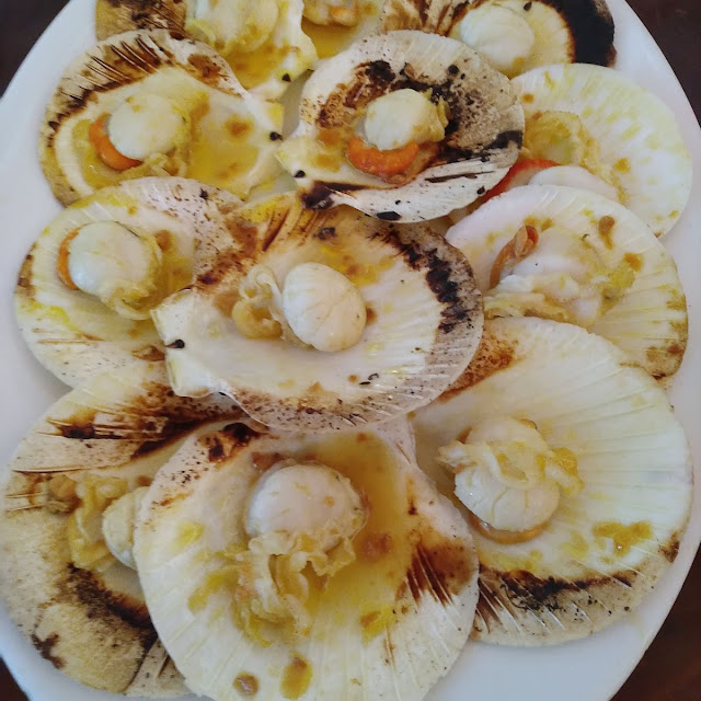 Baked Scallops