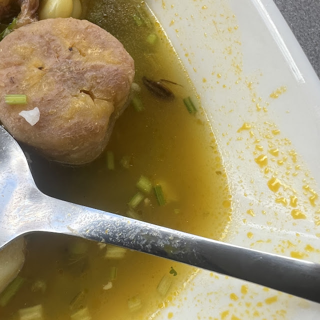 Roach In Sancocho