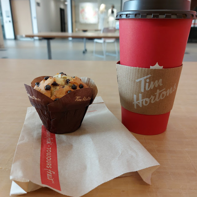 Chocolate Chip Muffin