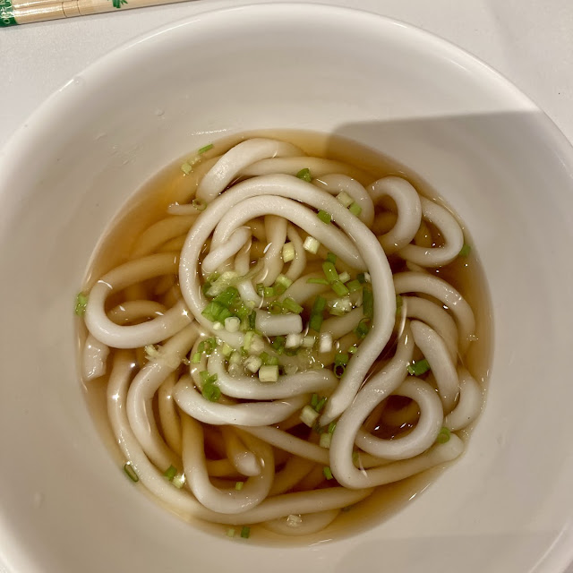 Plain Udon