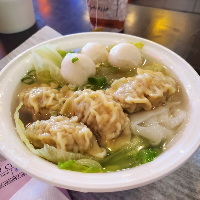 Wonton & Beef Stew Noodle Soup