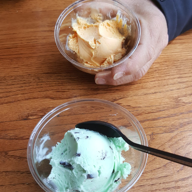 Mint Chocolate Chip Ice Cream
