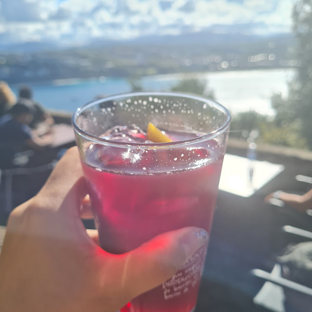 Tinto de Verano