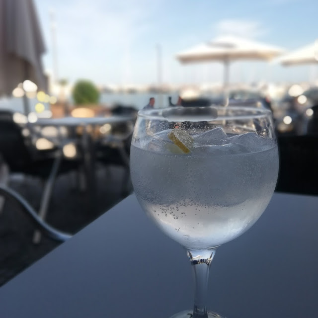Gin Tónic Seagrams